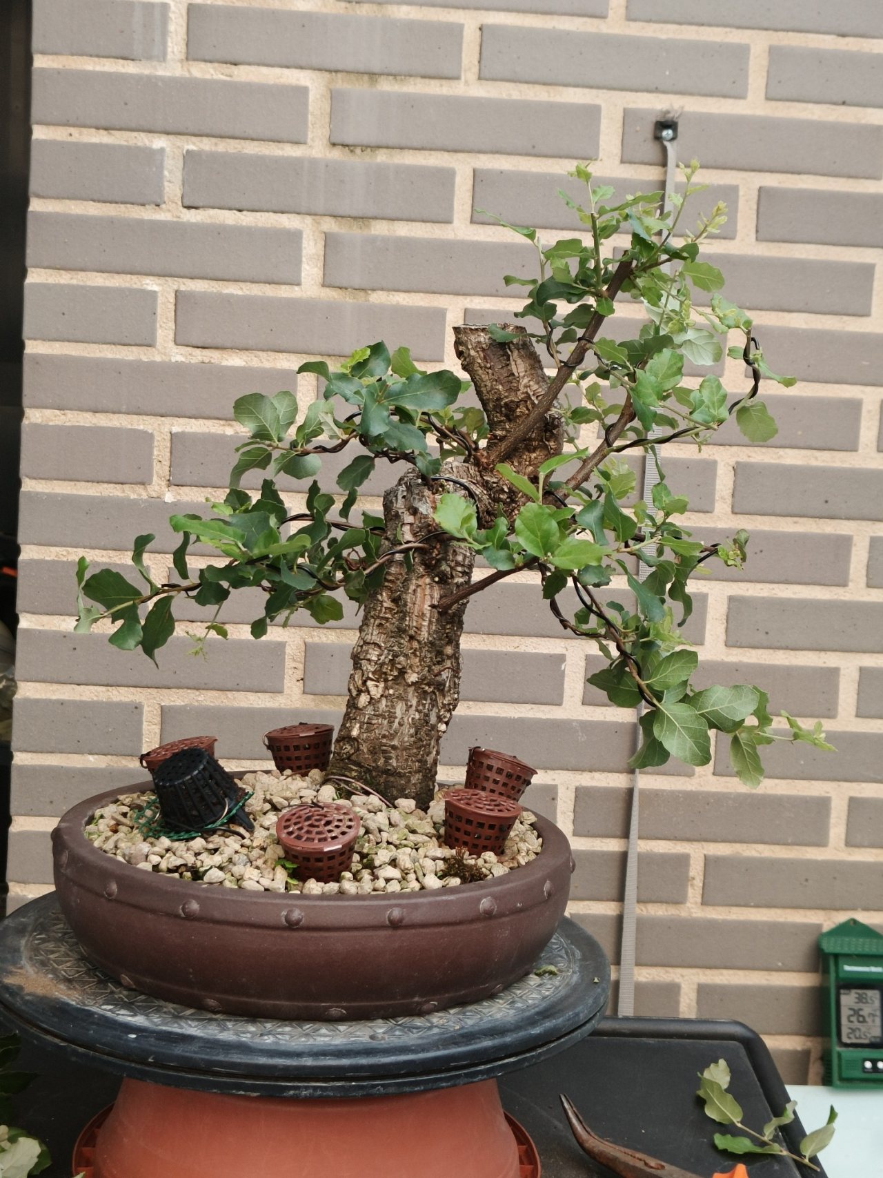 Photo 9