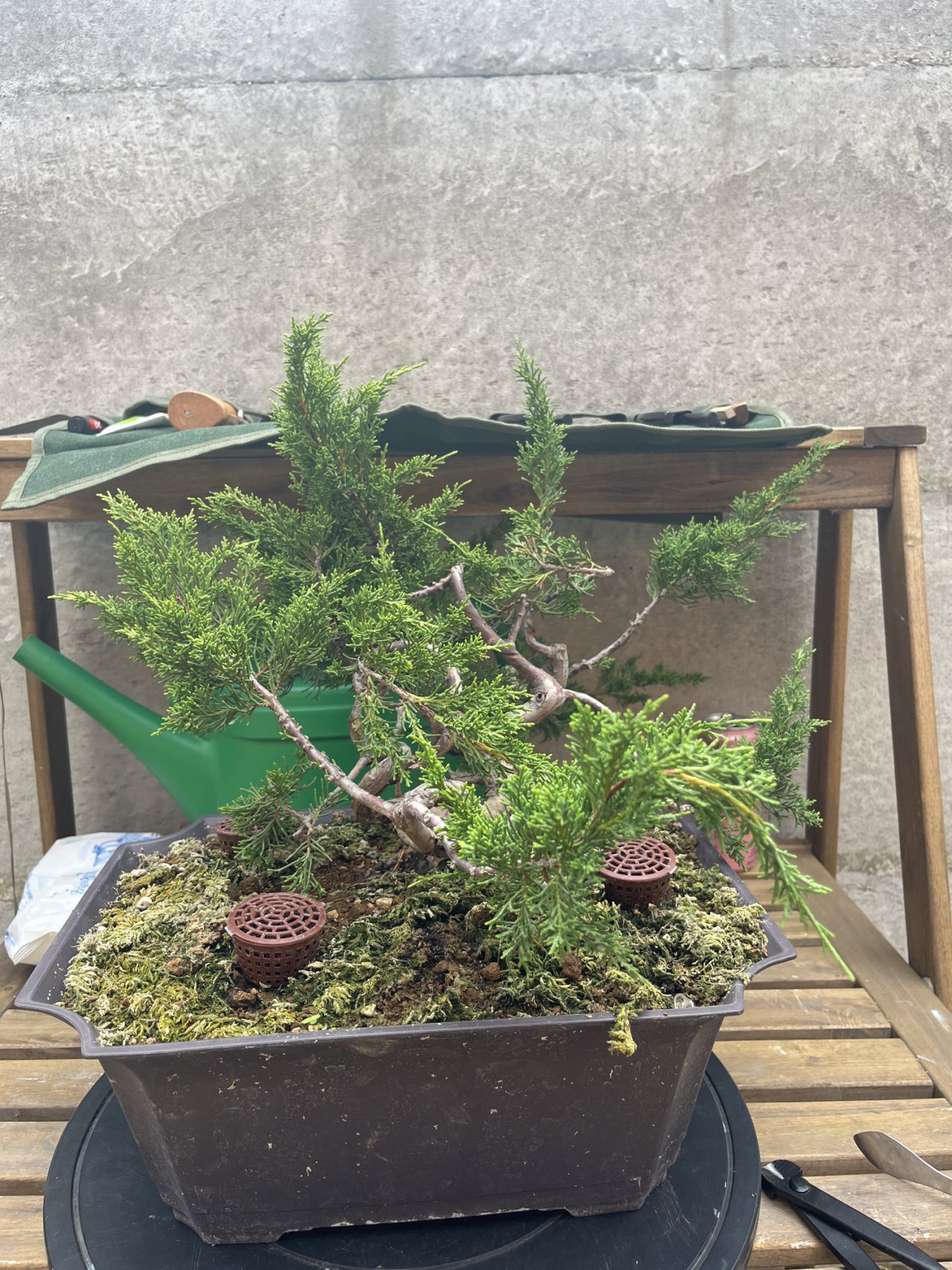 Photo 17