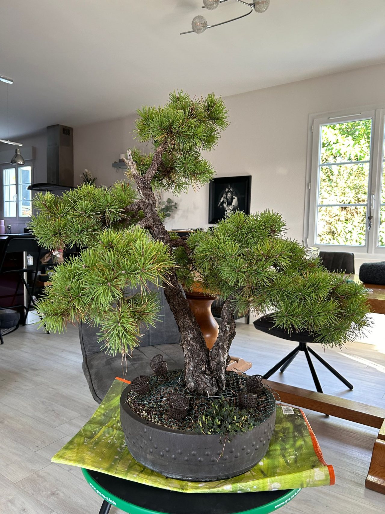 Photo 5