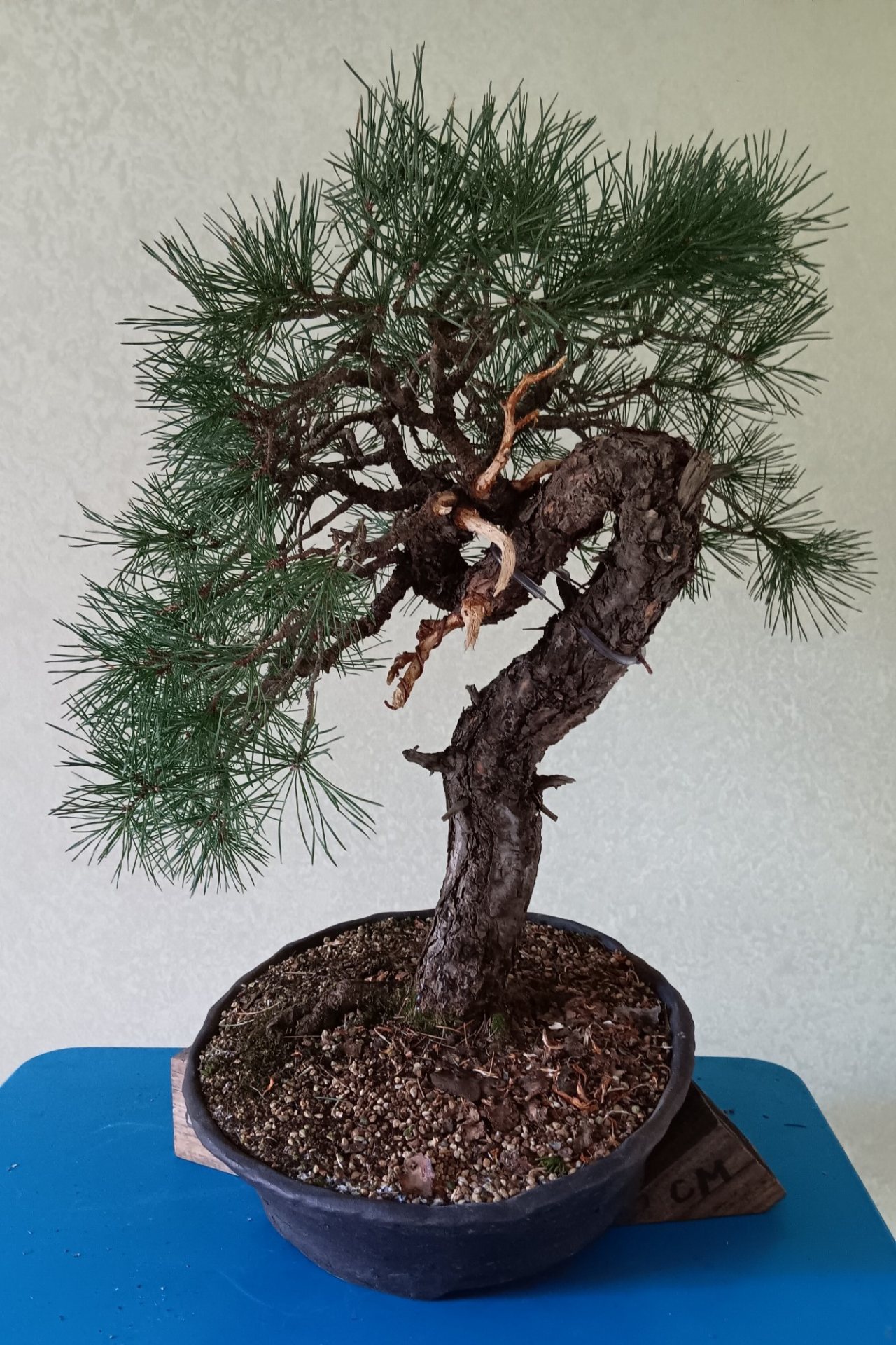 Photo 6
