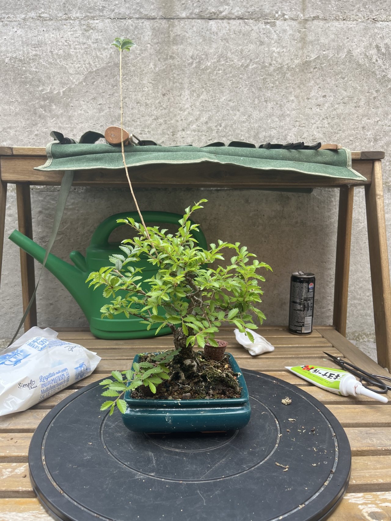 Photo 19