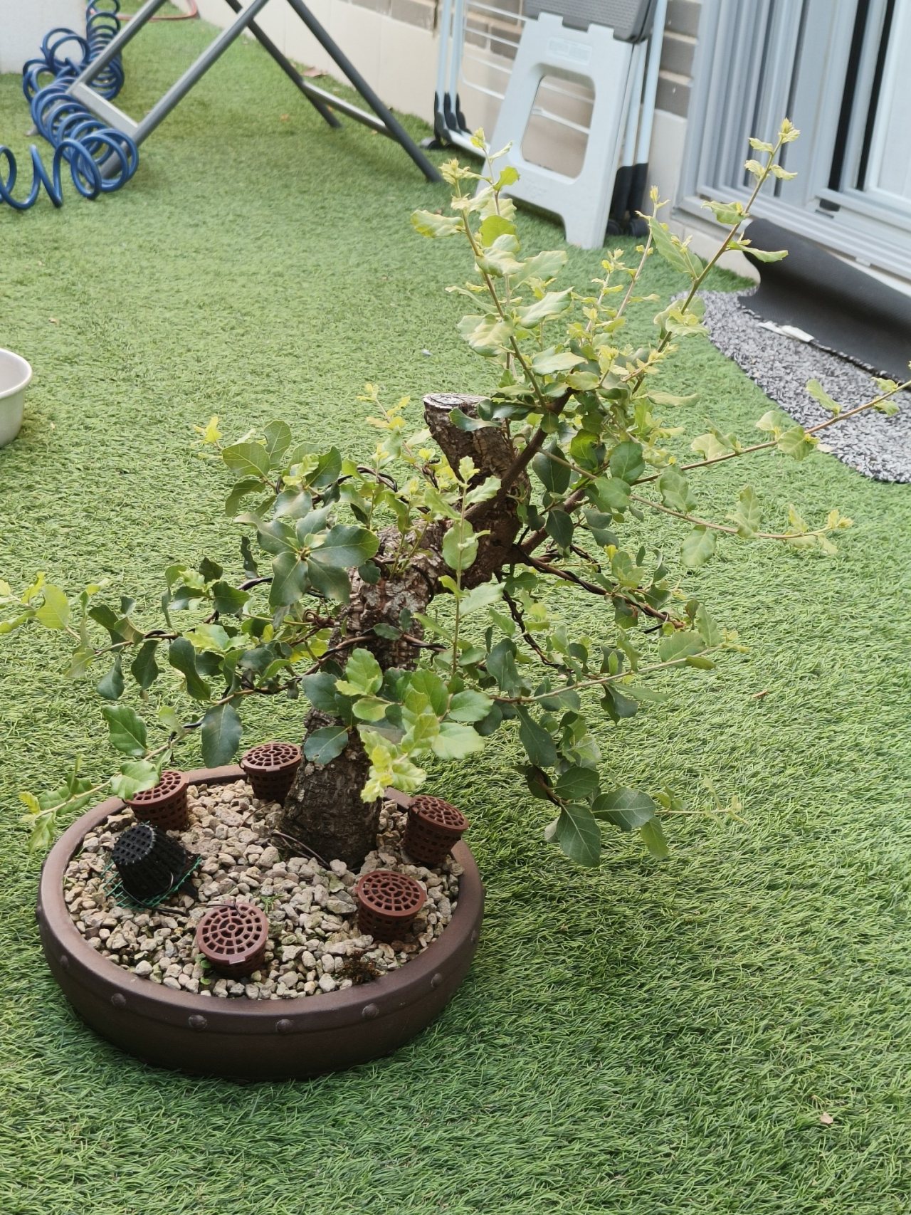 Photo 16