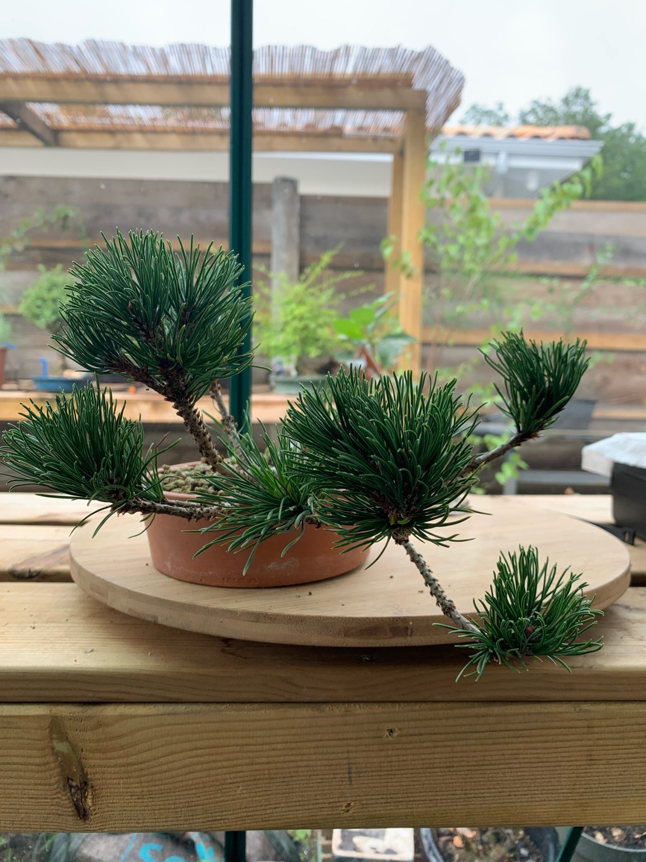 Photo 4