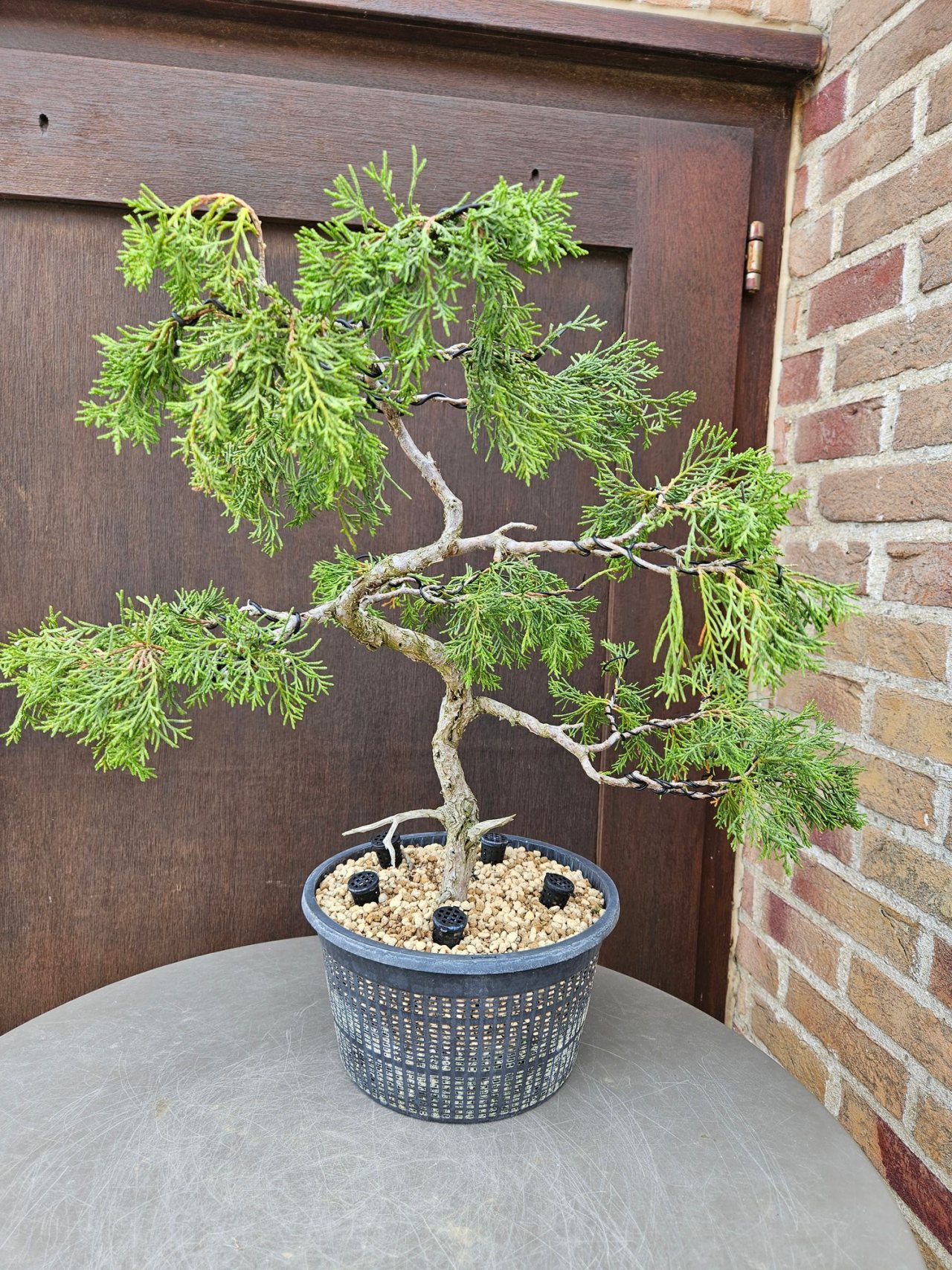 Photo 5