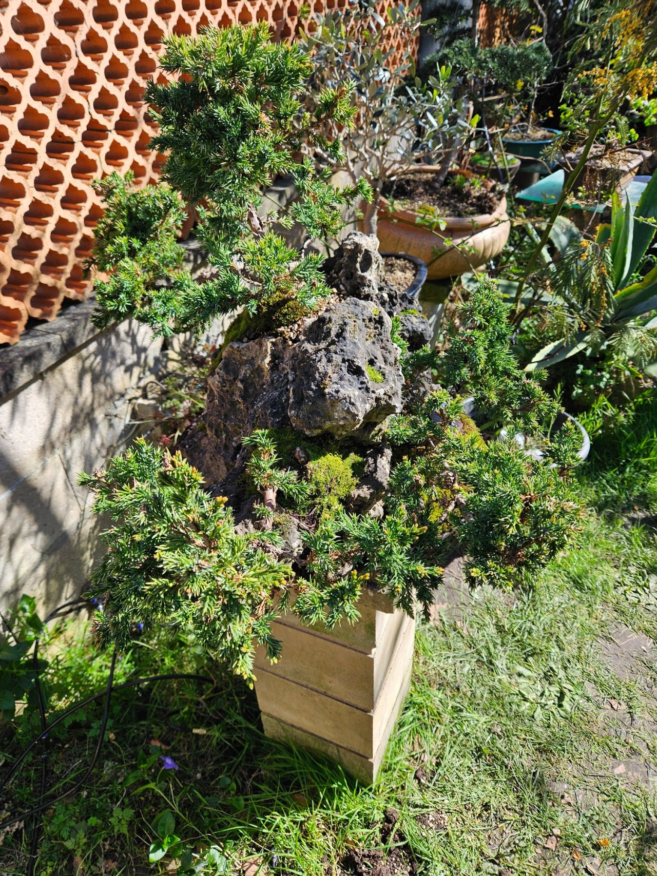 Photo 3