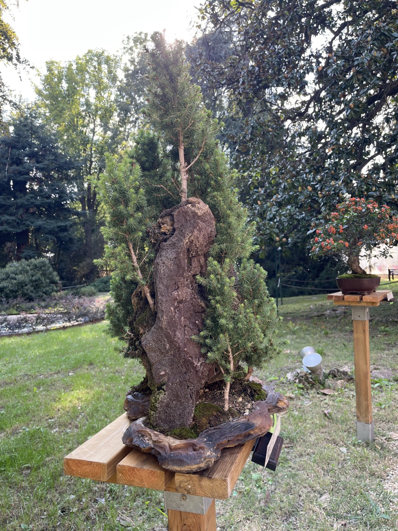 Photo 20