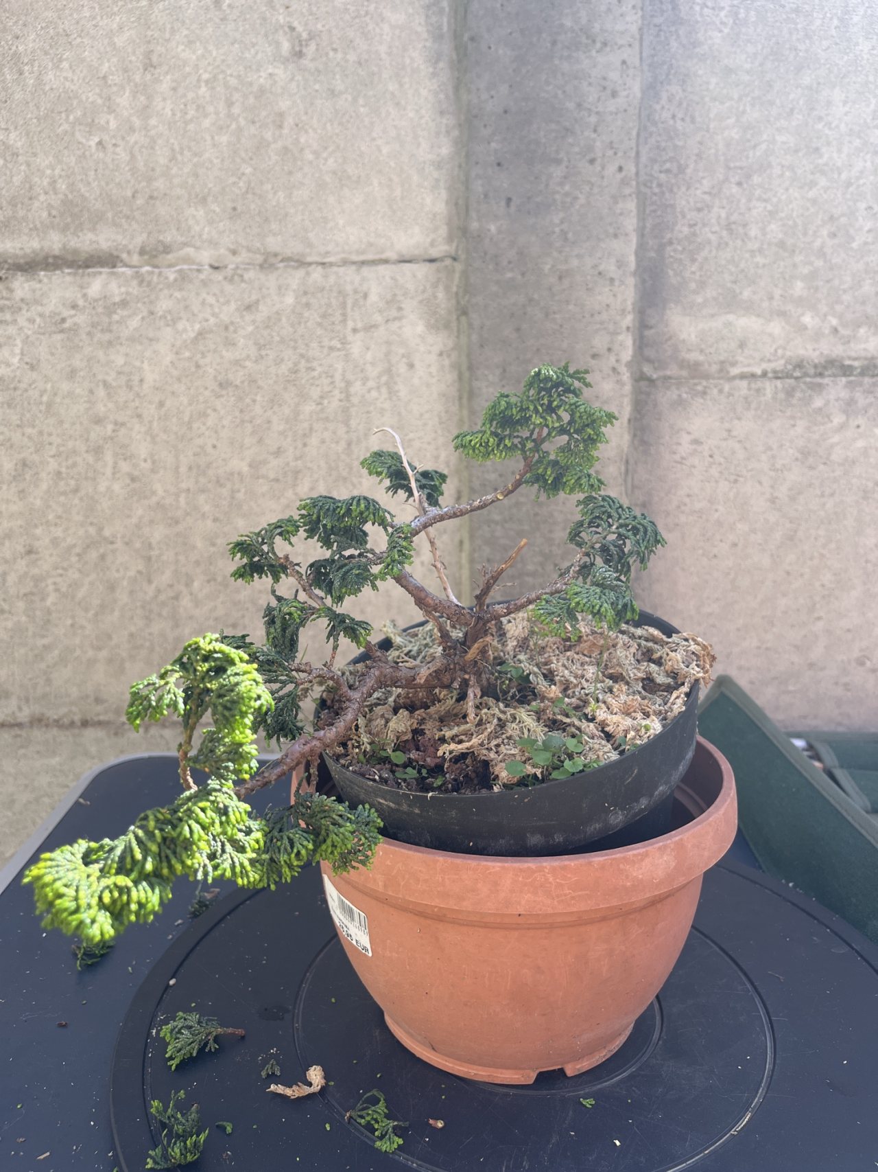 Photo 10