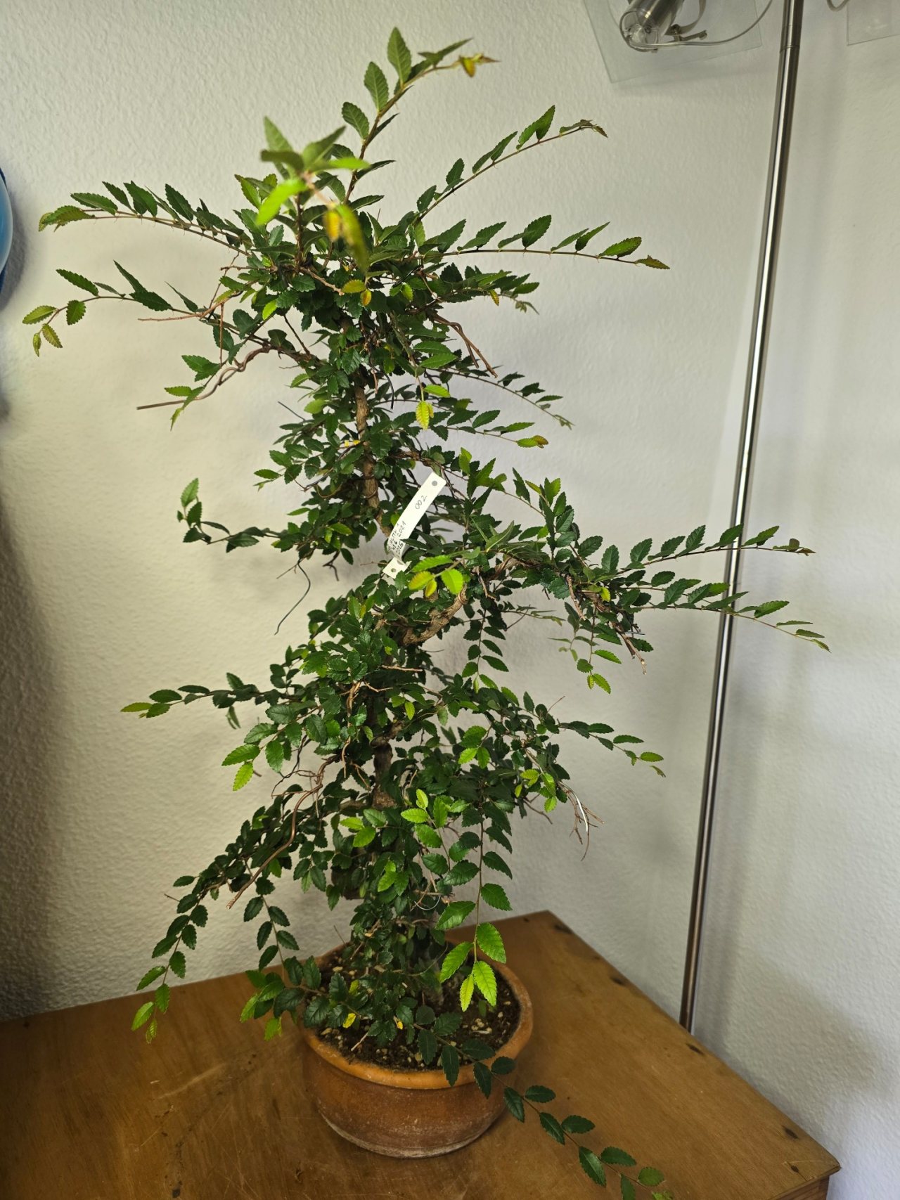 Photo 6