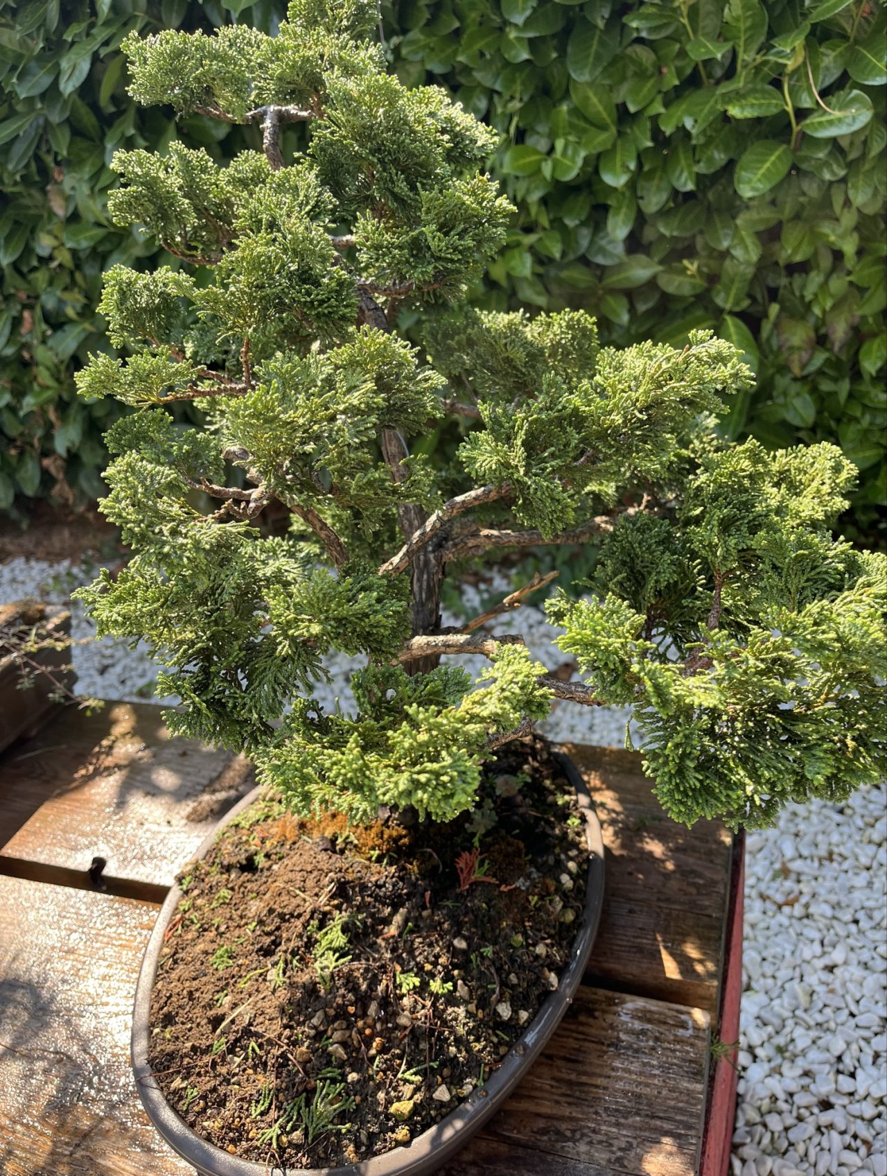 Photo 20