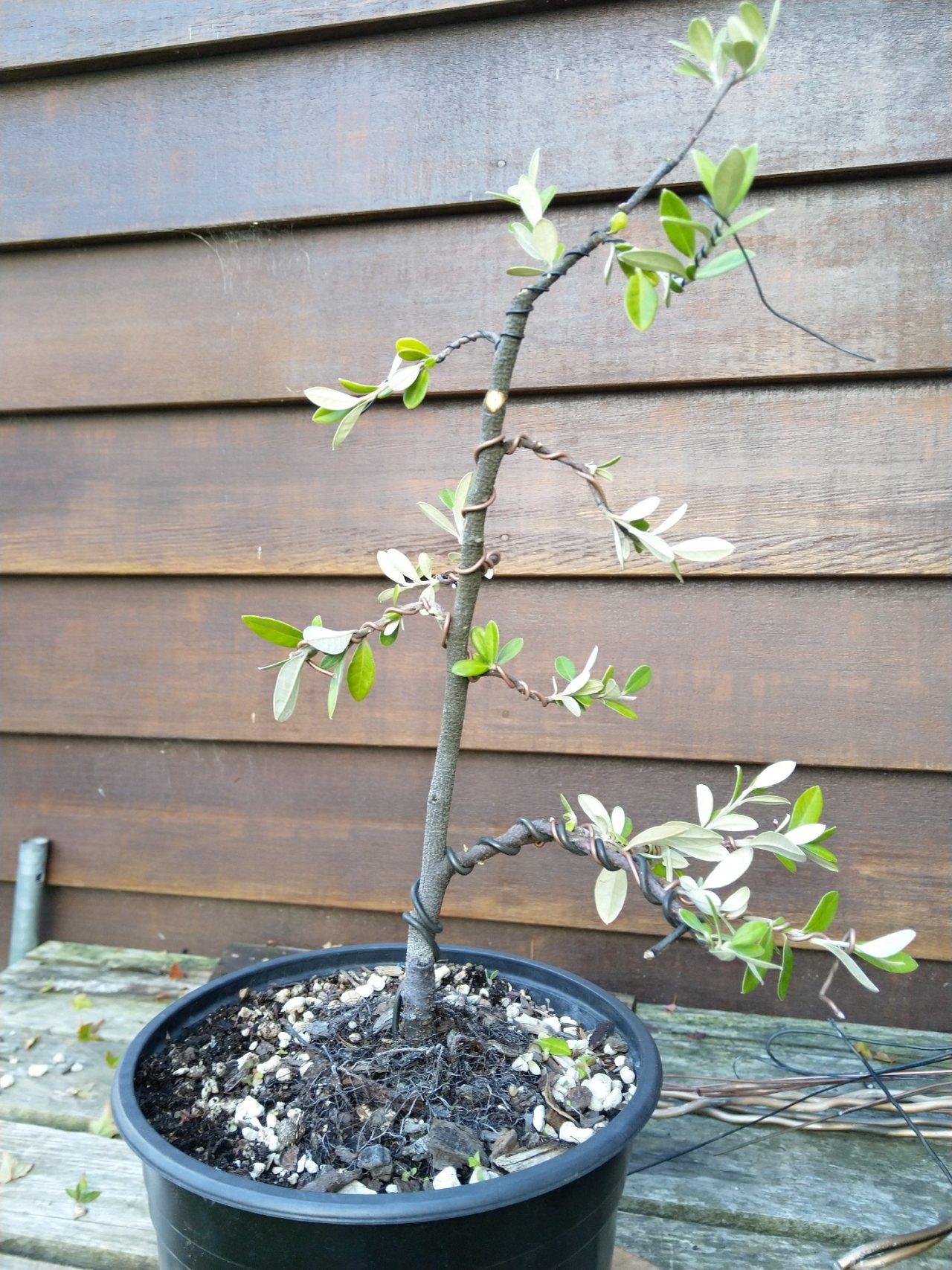 Photo 3