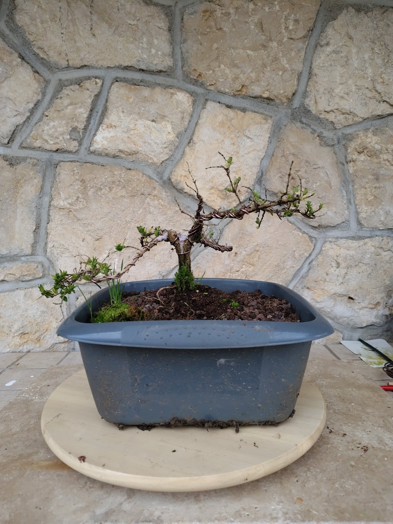 Photo 2