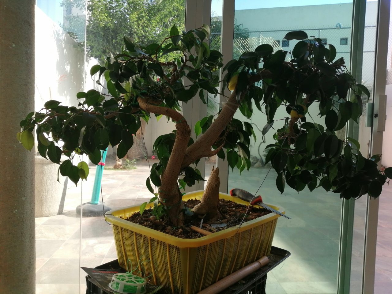 Photo 28