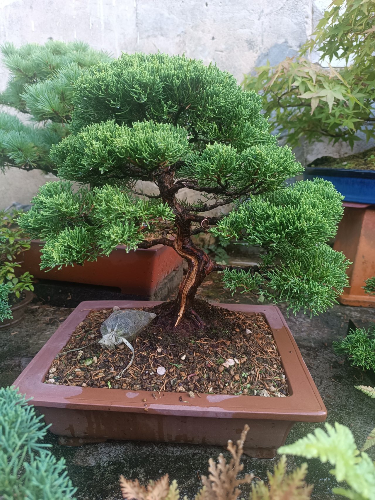 Photo 5