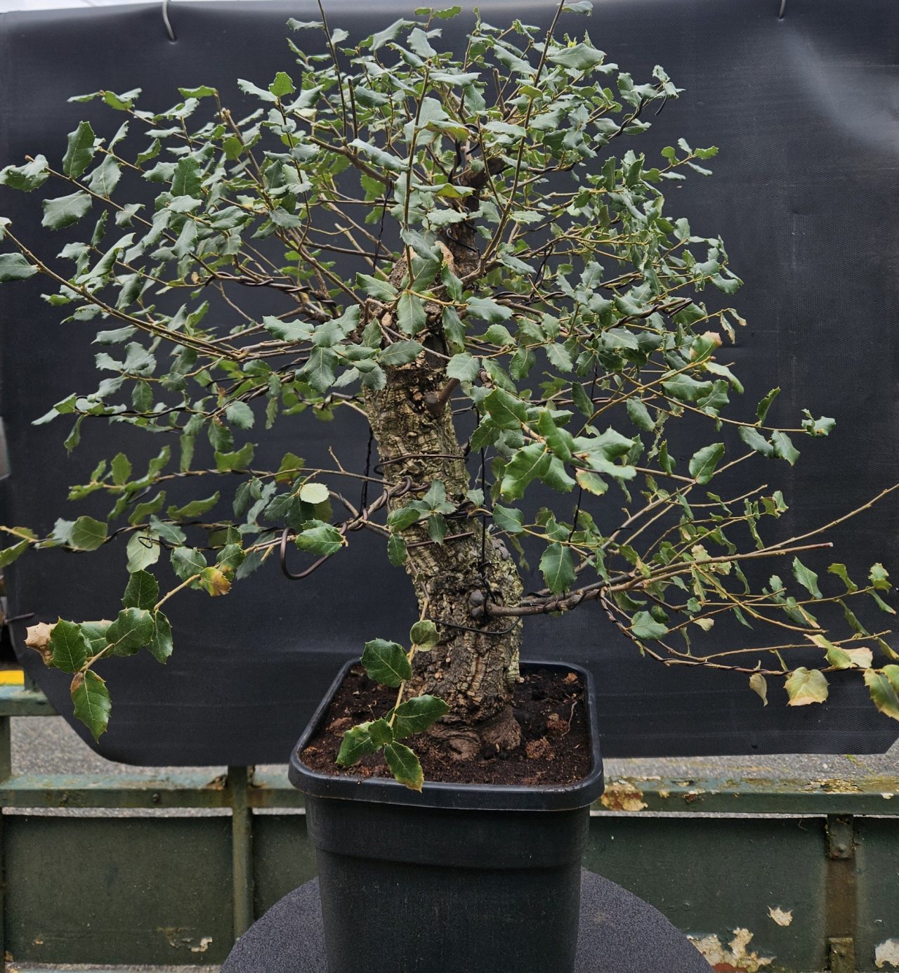 Photo 14