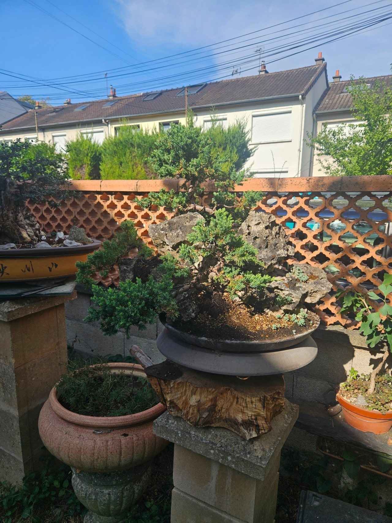 Photo 20