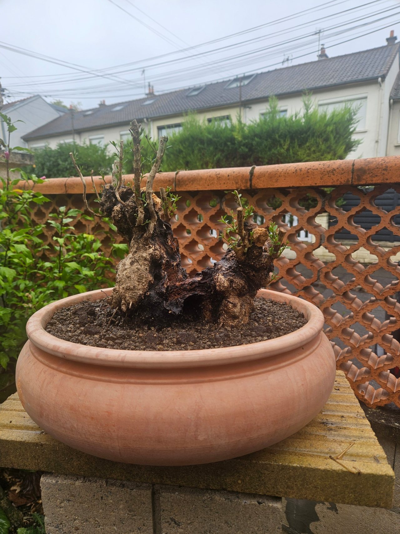 Photo 19