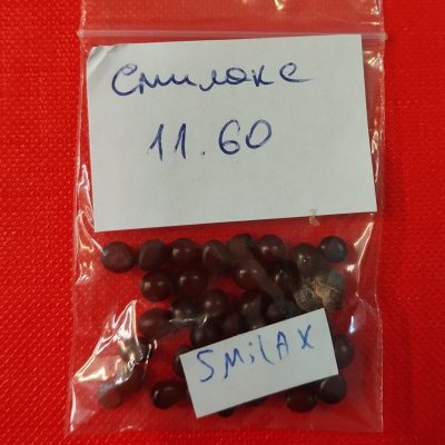 Смилакс шероховатый, или Сассапариль СШе01с