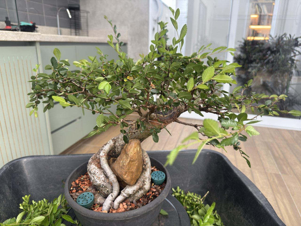 Photo 16