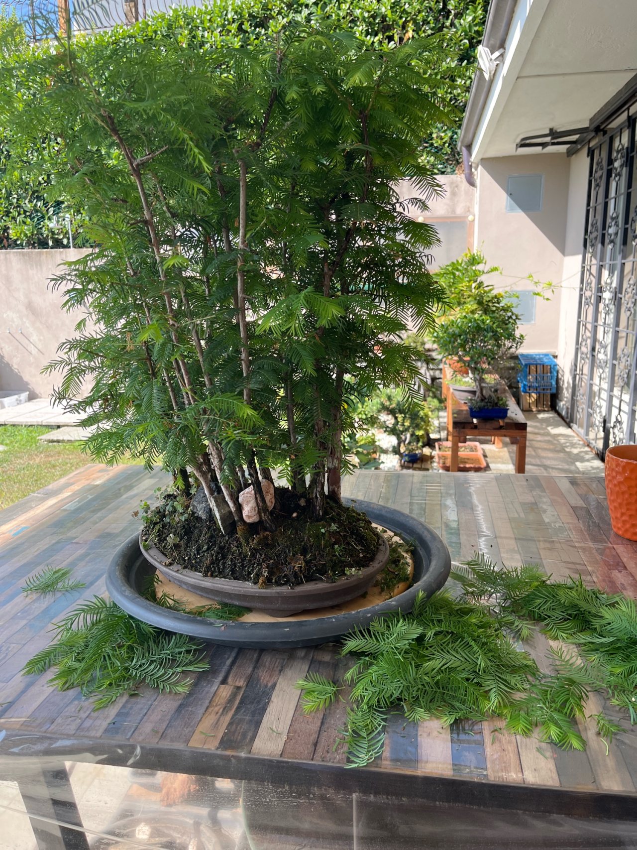 Photo 21