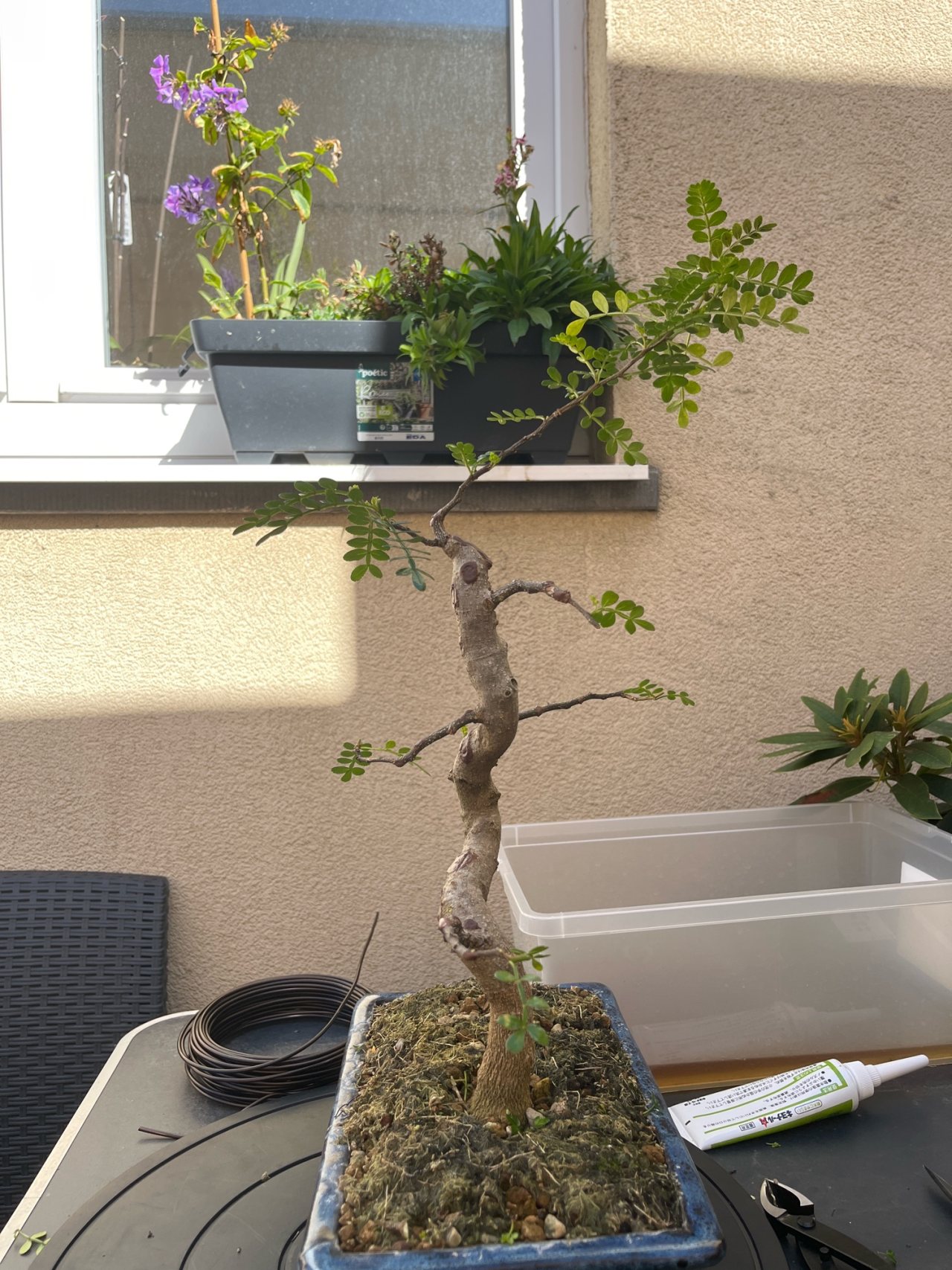 Photo 11