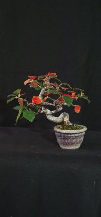 অন্যান্য - ২৩/১০/২২ - Photo 1/1