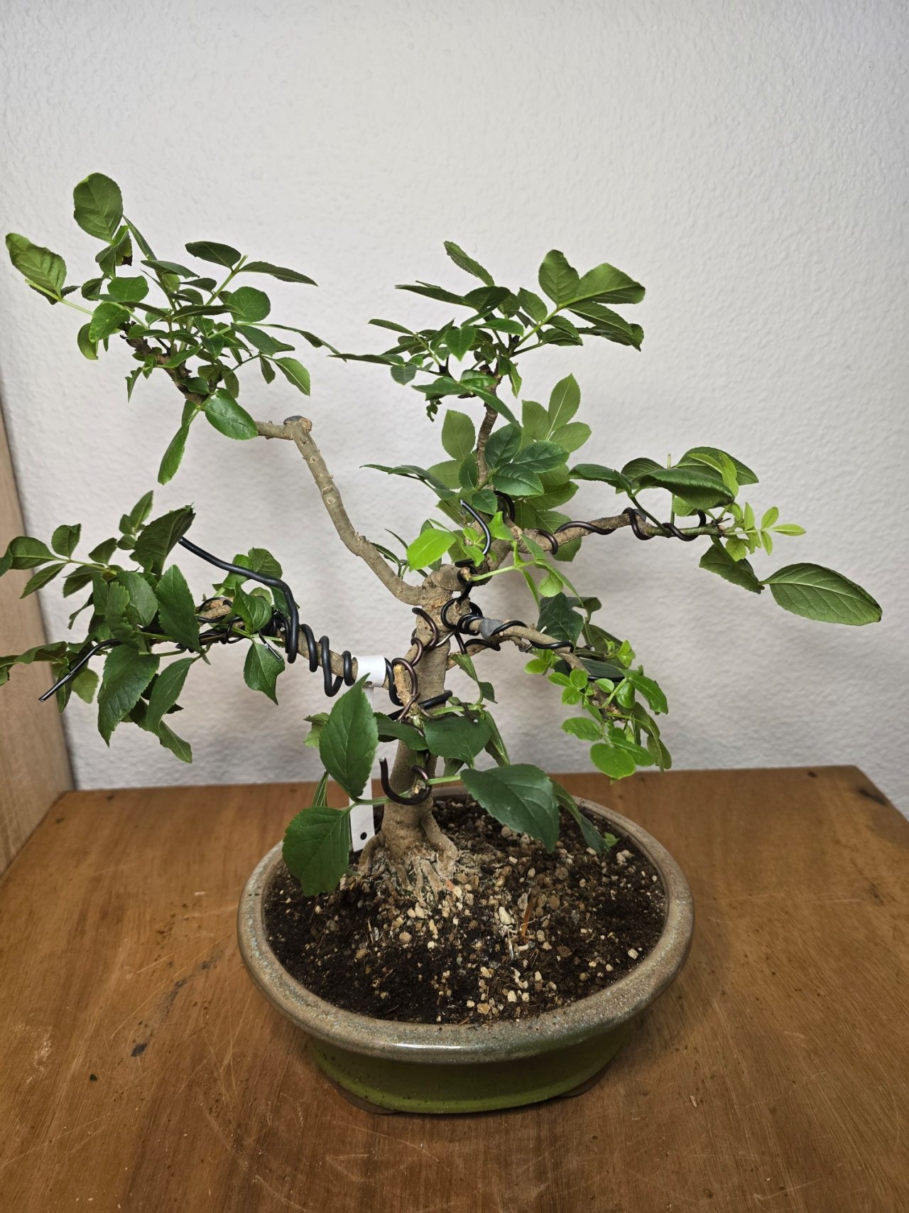 Photo 8