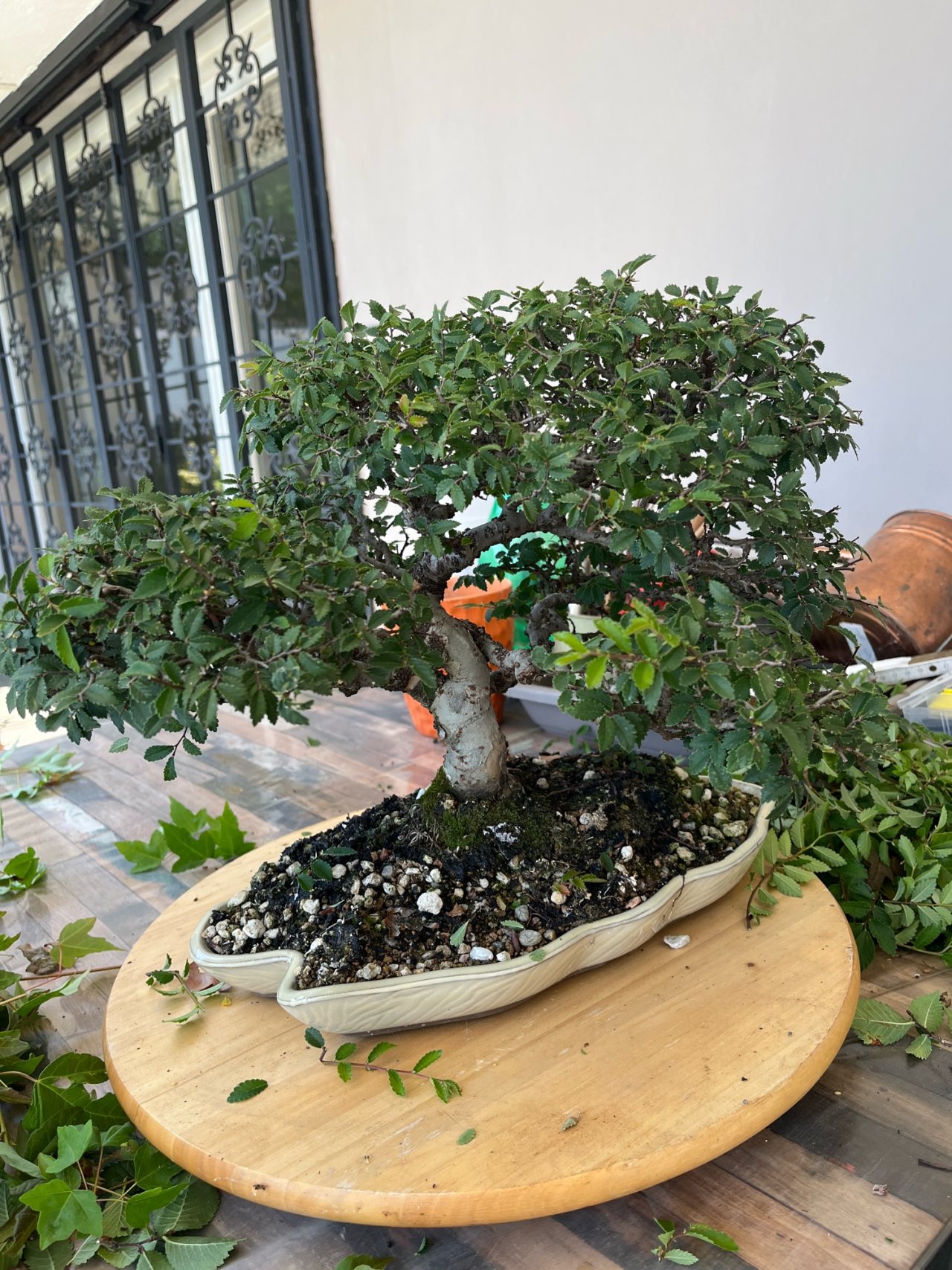 Photo 8