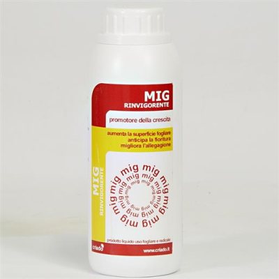 Glicine