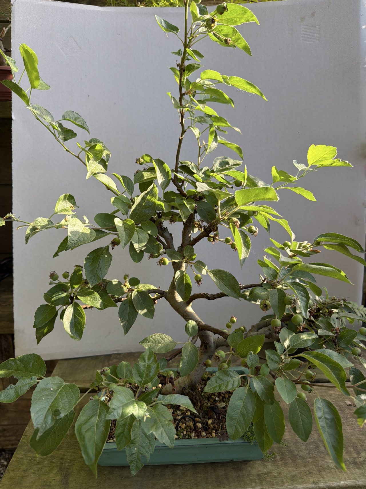 Photo 6