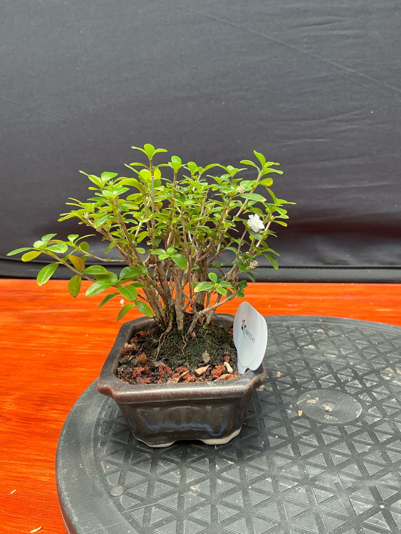 Photo 2