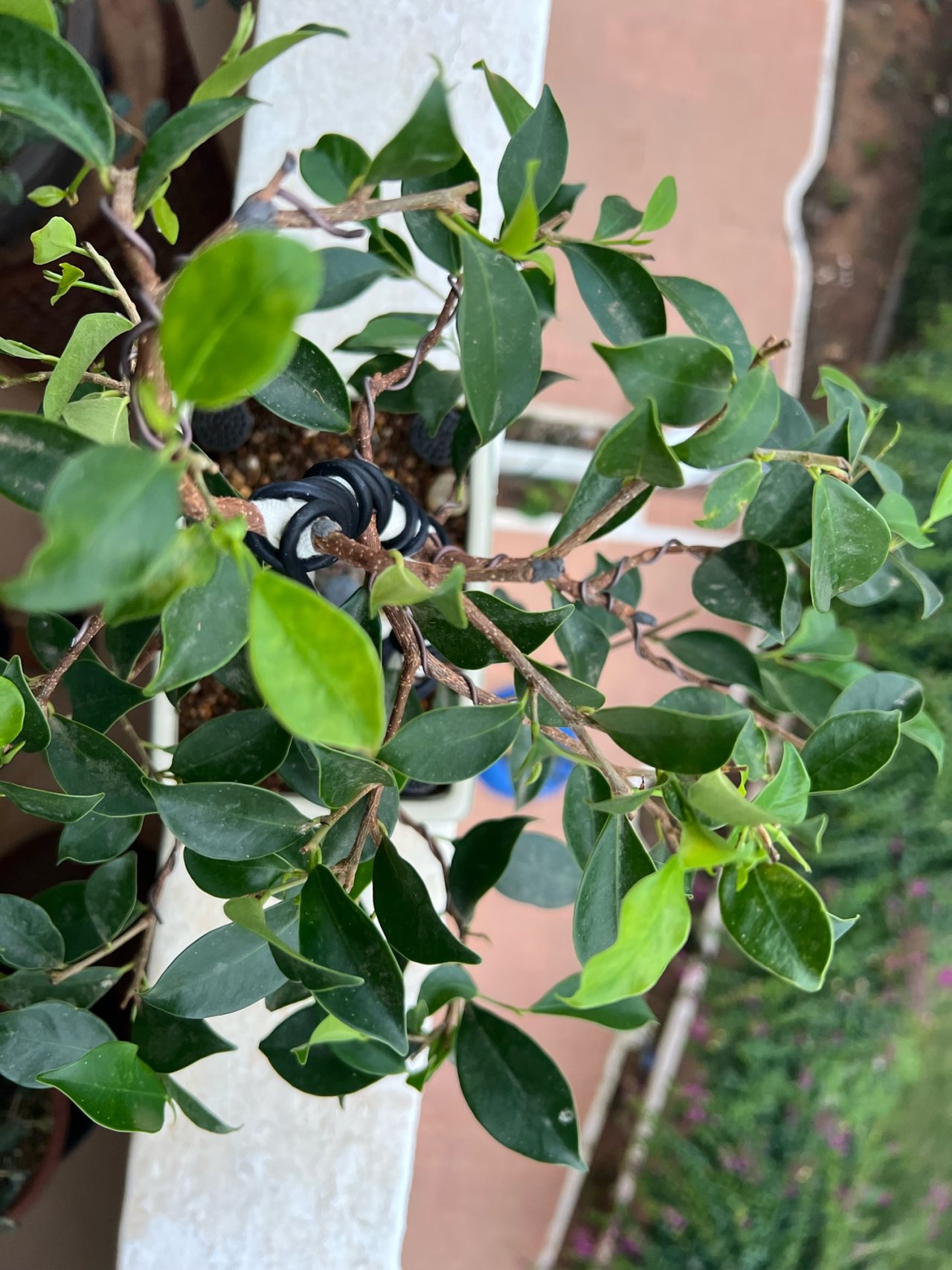 Photo 17