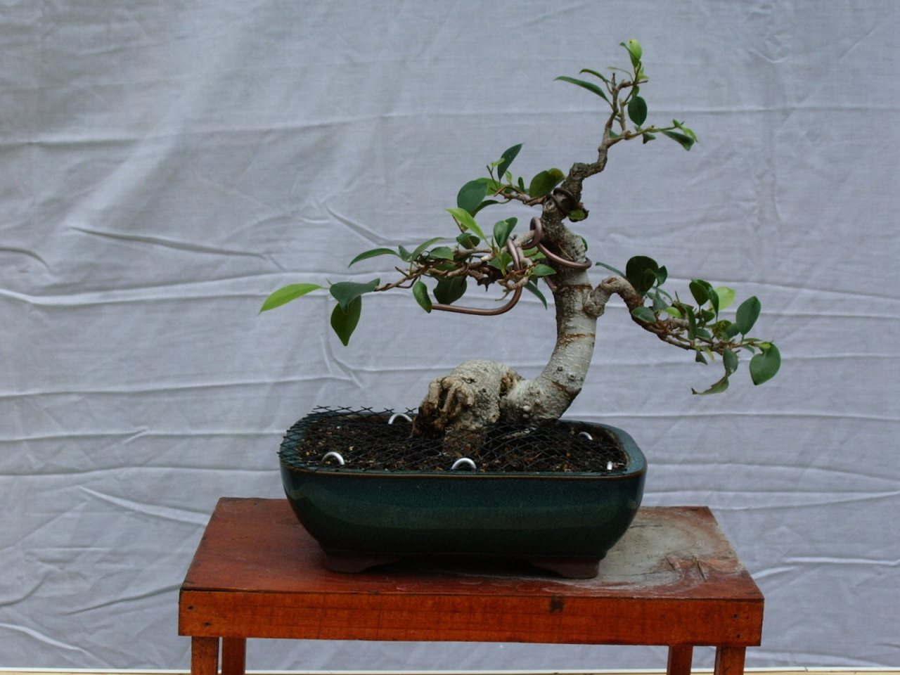 Photo 2