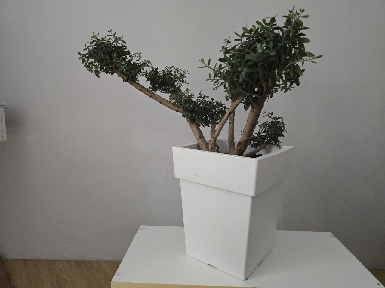 Photo 2