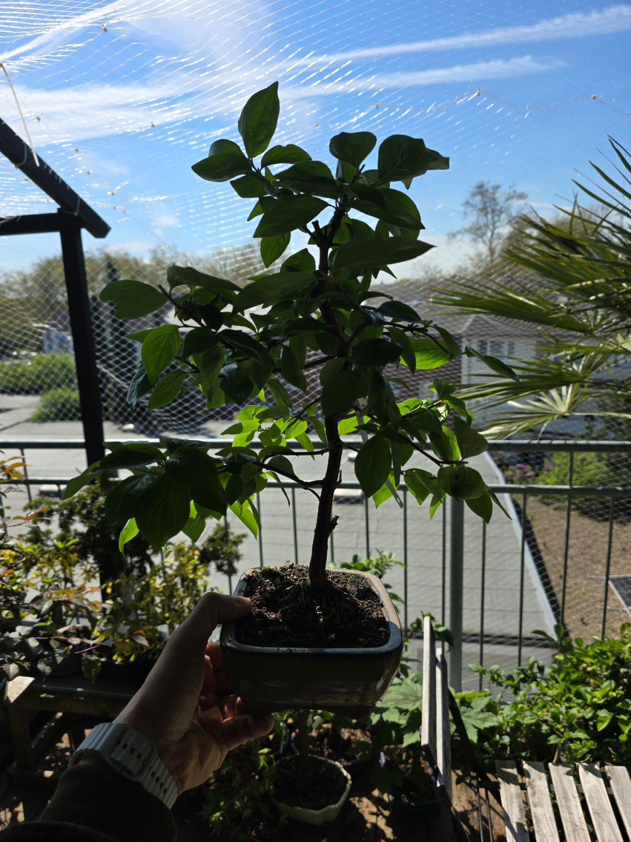 Photo 6