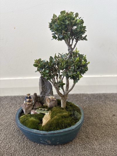 English Box