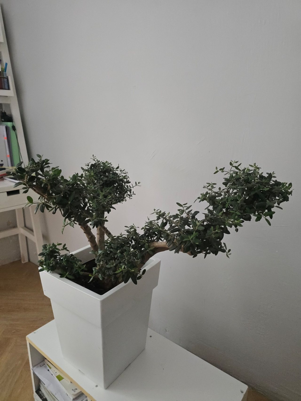Photo 17