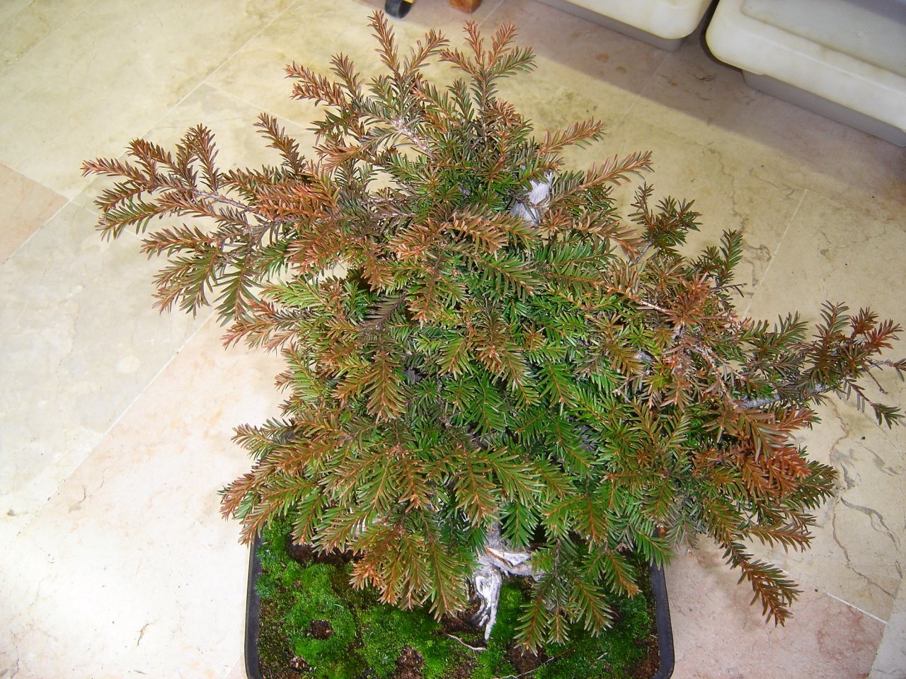 Photo 25