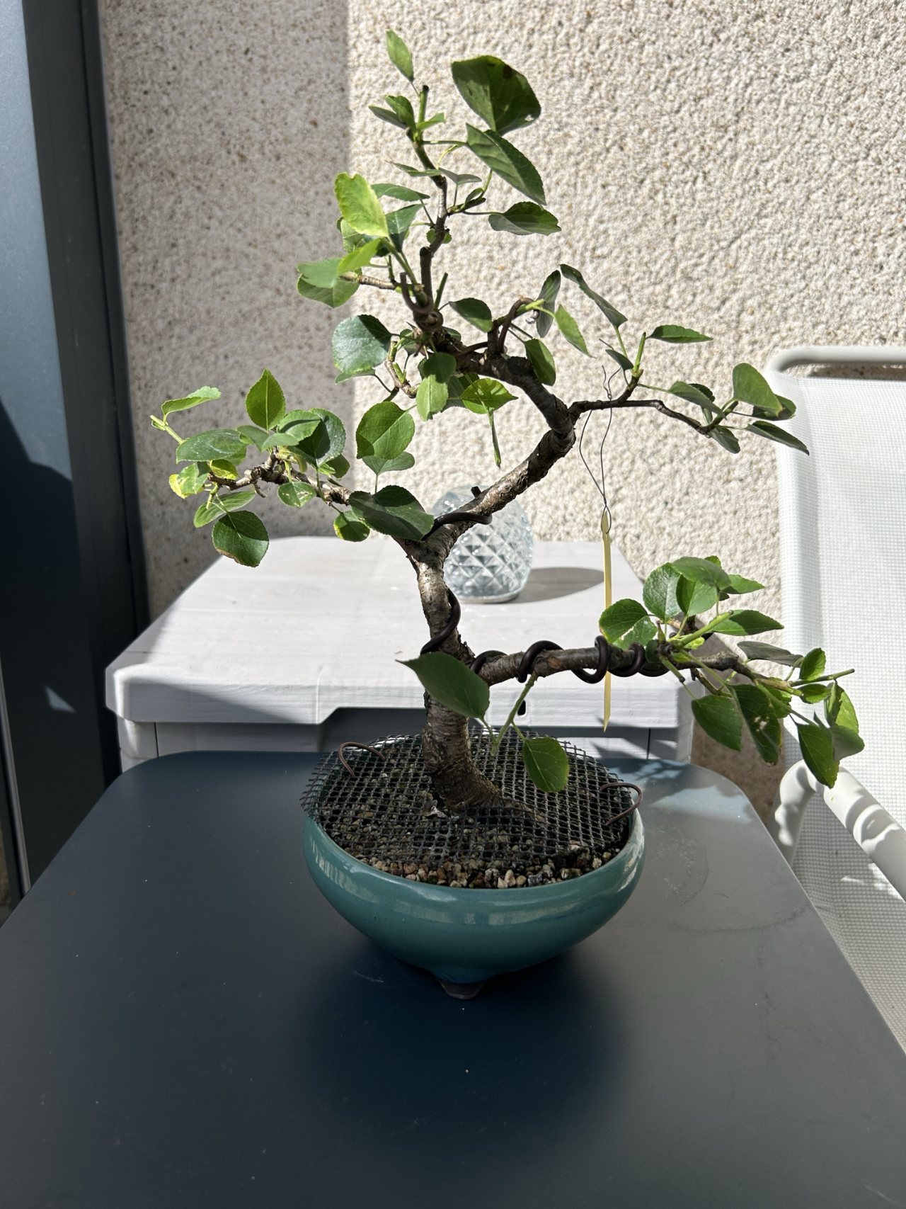 Photo 7