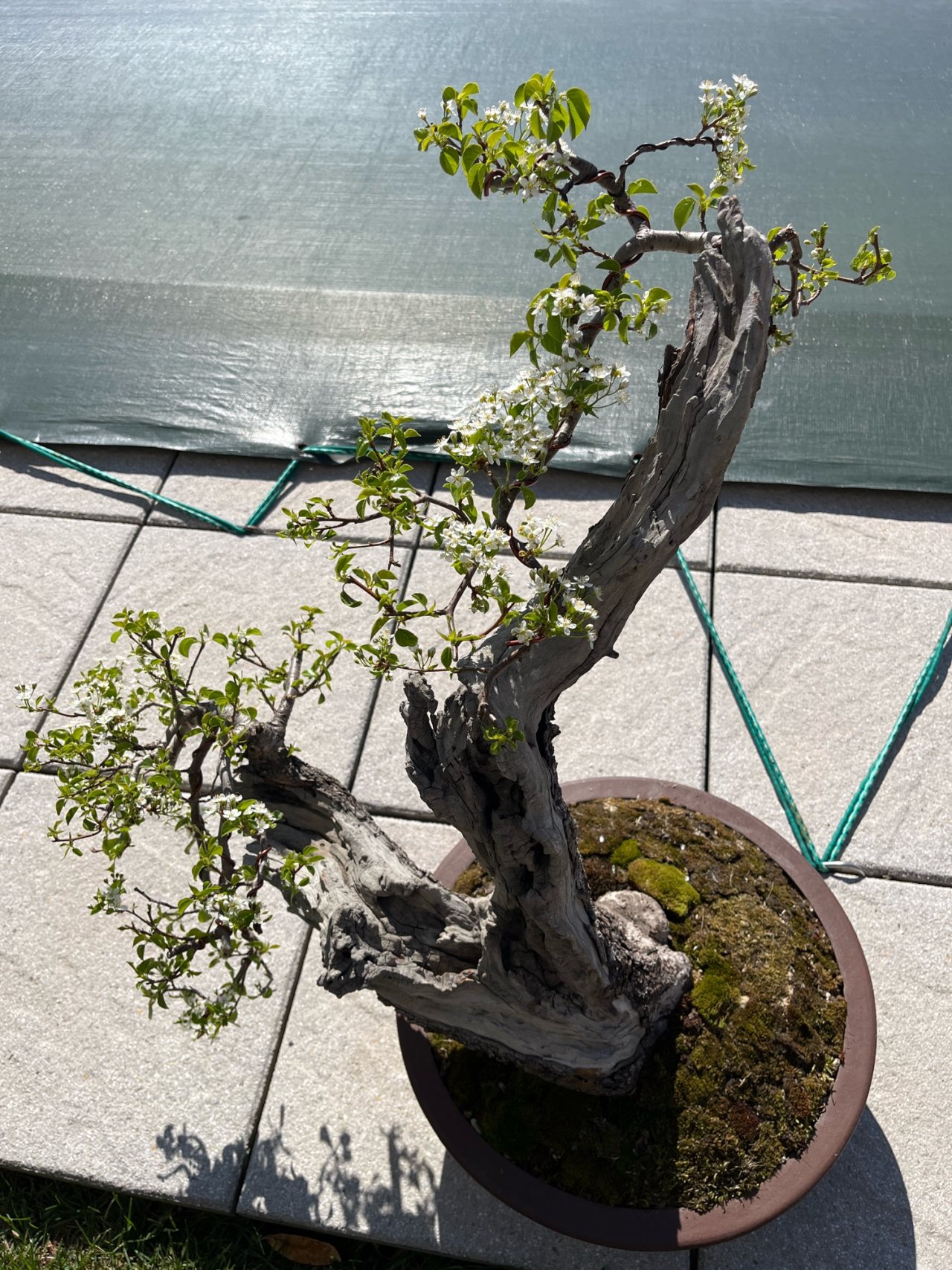 Photo 20