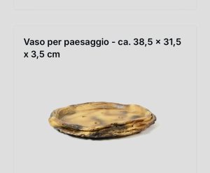 Pietra B