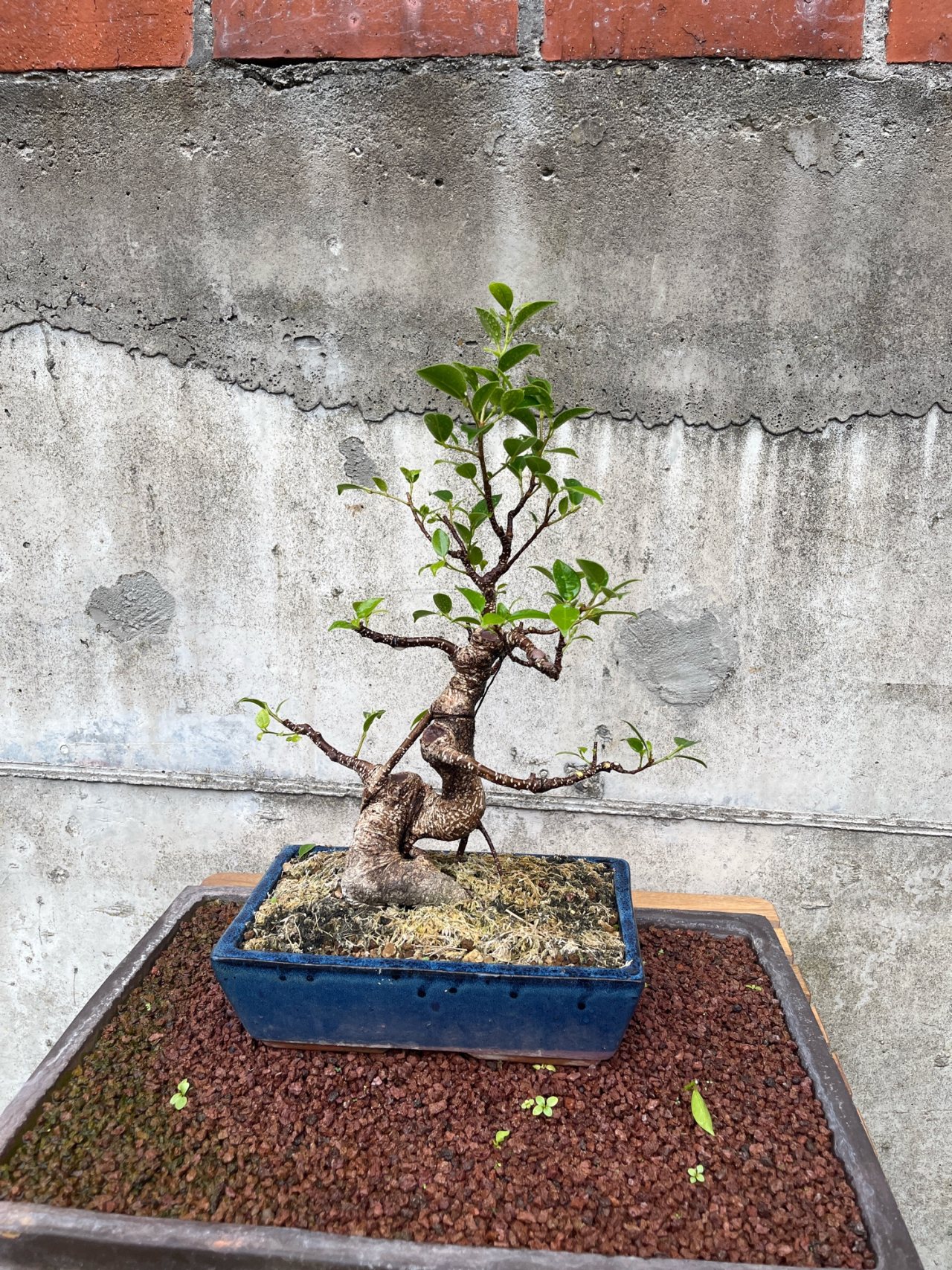 Photo 22