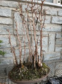 Reinigung - 07.11.25 - Photo 1/1