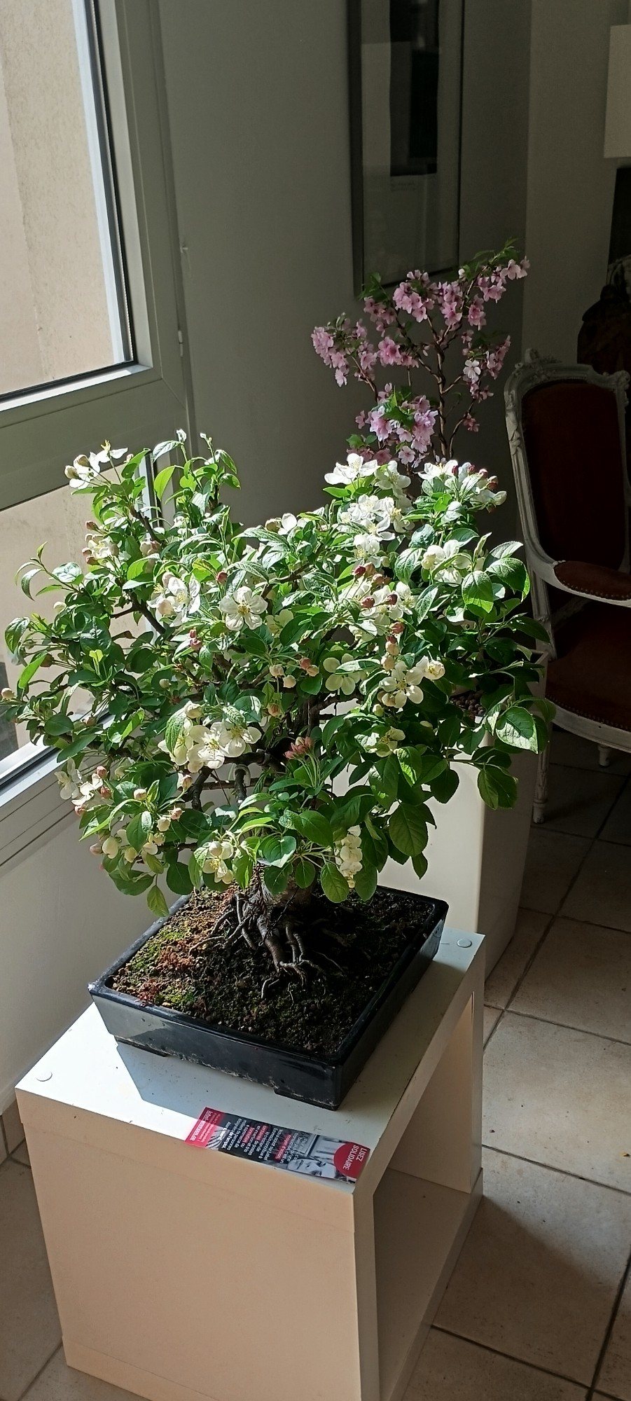 Photo 4