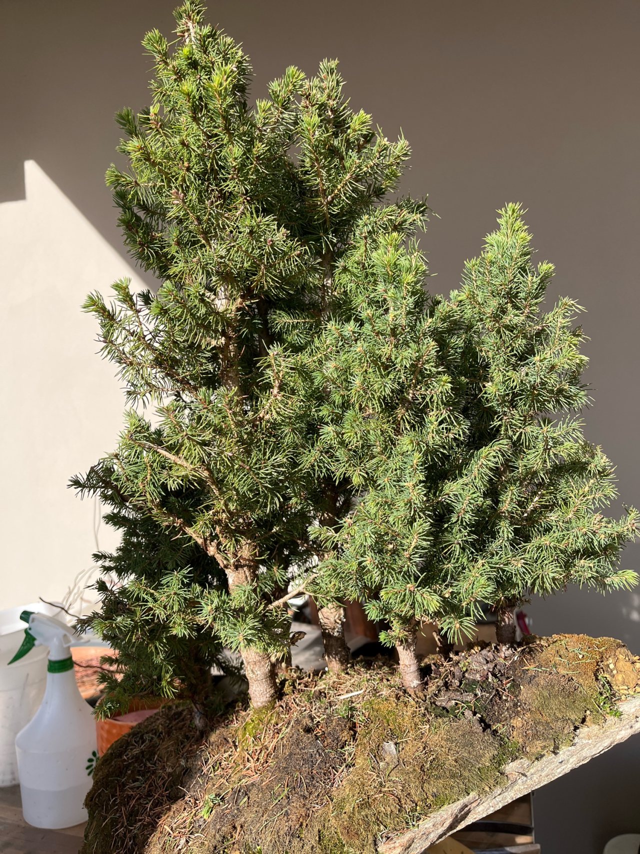 Photo 25