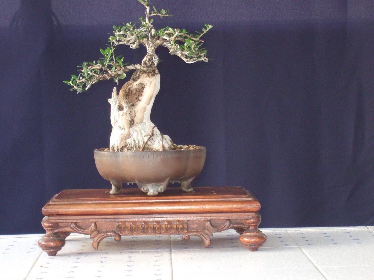 Photo 4