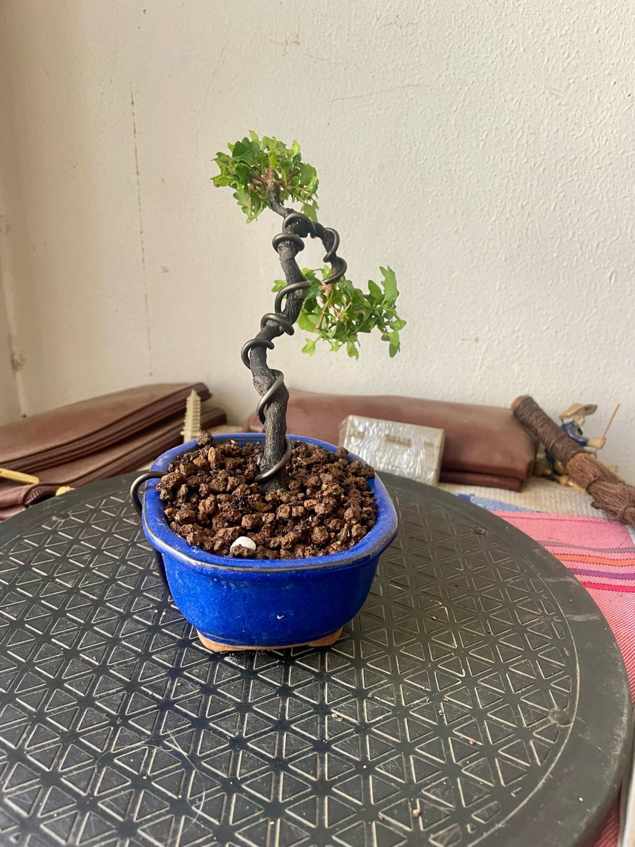 Photo 25