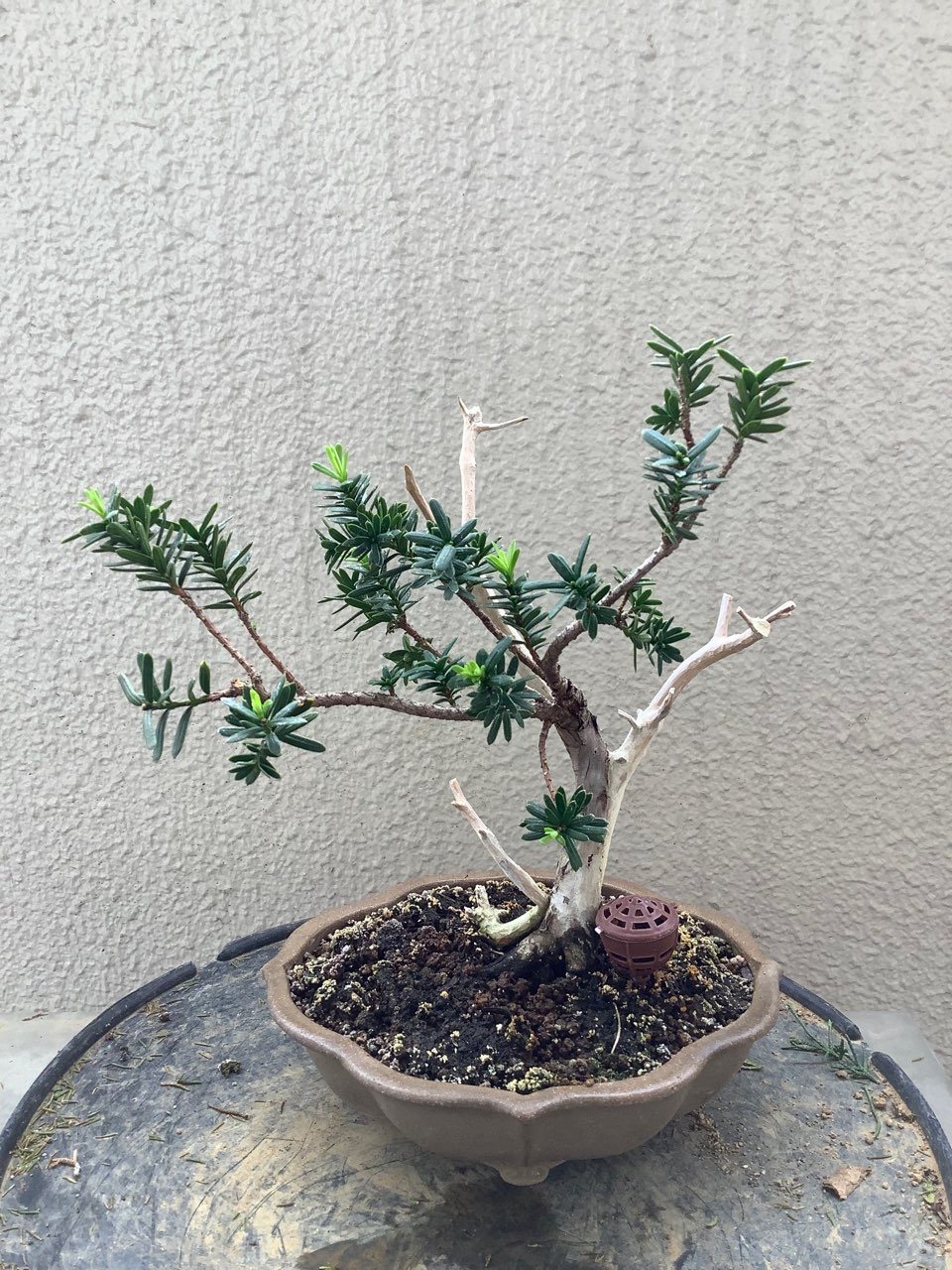Photo 17