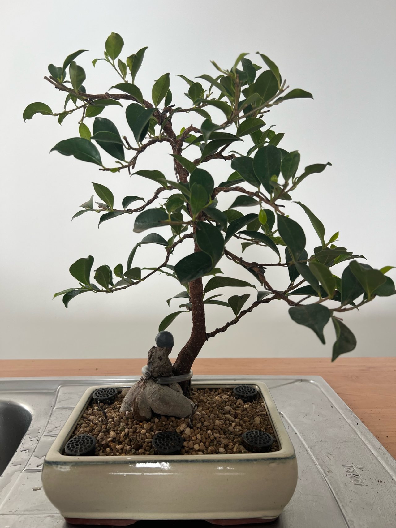 Photo 14