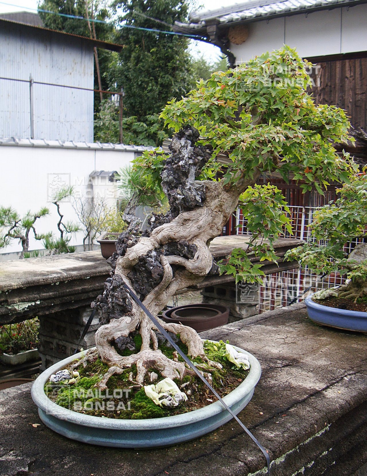 Photo 6