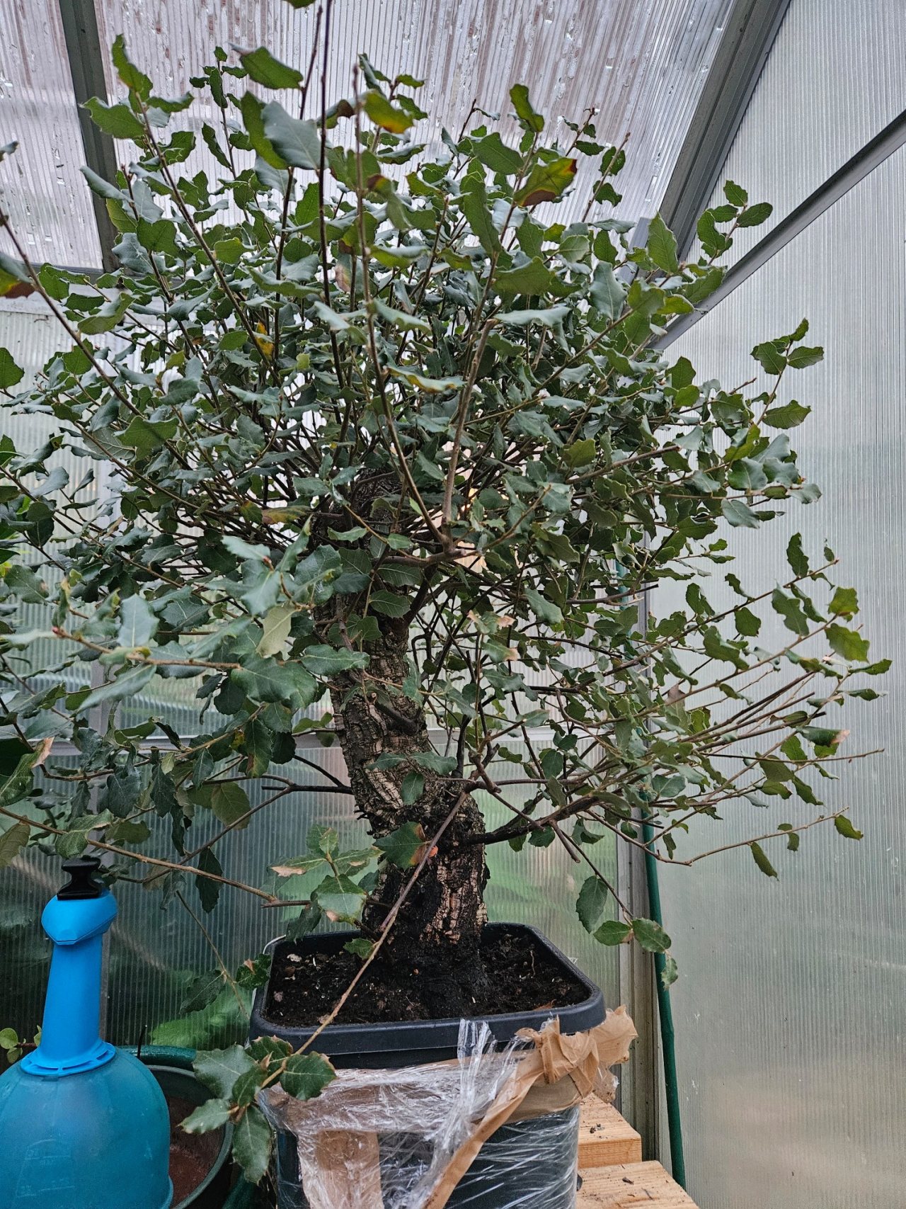 Photo 18